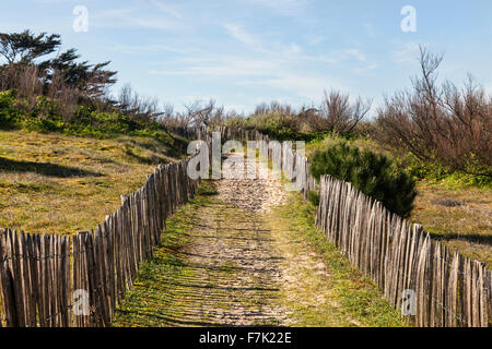 Il sentiero tra recinti di legno sull'Atlantico Dune in Bretagna, nel nord-ovest della Francia. Foto Stock