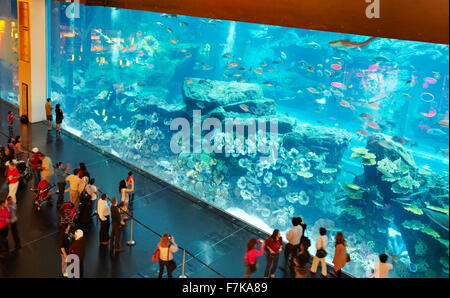 Il centro commerciale di Dubai Aquarium, Dubai, Emirati Arabi Uniti, Medio Oriente Foto Stock