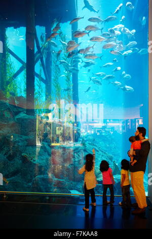 Il centro commerciale di Dubai Aquarium, Dubai, Emirati Arabi Uniti, Medio Oriente Foto Stock