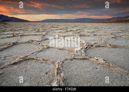 Incrinato saline al tramonto, bacino Badwater, Parco Nazionale della Valle della Morte, California USA Foto Stock