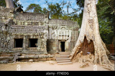 Rovine di Ta Prohm tempio di Angkor, Cambogia, Asia Foto Stock