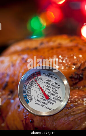 TACCHINO NATALE termometro da cucina primo piano che mostra la temperatura ideale consigliata per il tacchino cotto... Luci di Natale sullo sfondo Foto Stock