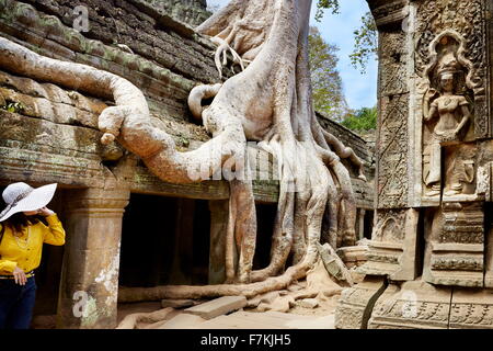 Angkor - città monumentale che sono rimasti dopo la vecchia capitale dell Impero Khmer, Ta Prohm tempio di Angkor, Siem Reap, Cambogia, Foto Stock