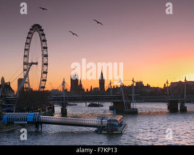 Il London Eye, il fiume Tamigi Festival Pier SouthBank, stagliano al tramonto, uccelli in volo con le case di Paliament in b/g Londra- Ian Shaw Foto Stock