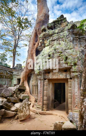 Ta Prohm tempio di Angkor, Cambogia, Asia Foto Stock