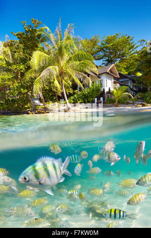 Paesaggio tropicale di Ko Samet Island con underwater vista mare con pesce, Thailandia, Asia Foto Stock