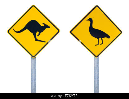 Cape sterile di oca e kangaroo segnaletica stradale Foto Stock