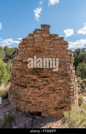 Torre spietato, un ancestrale struttura dei Pueblo in Hovenweep National Monument, Colorado. Foto Stock