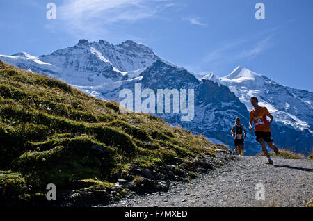 Guide di scorrimento in parte anteriore del monte Jungfrau sul 2015 monte Jungfrau Marathon race da interlken a Kleine Scheidegg, alpi Bernesi, Swi Foto Stock