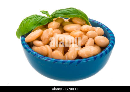 Conserve di bean con foglia di basilico Foto Stock