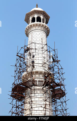 I lavori di costruzione al Taj Foto Stock