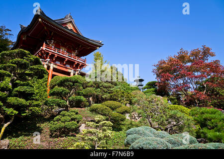 Giardino giapponese del tè (San Francisco, California) Foto Stock