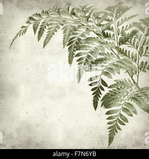 Textured vecchia carta di sfondo leatherleaf con foglie di felce Foto Stock