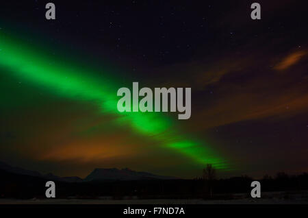 Forte e vibrante vivida aurora boreale sopra la foresta di inverno Foto Stock