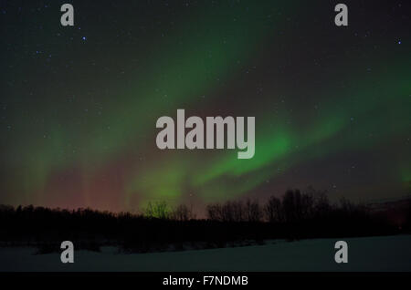Bella aurora boreale oltre il circolo polare artico paesaggio invernale Foto Stock