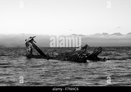 Cormorano uccelli seduto su una nave di legno relitto in un fiordo con montagne avvolte nella nebbia spessa in bianco e nero Foto Stock