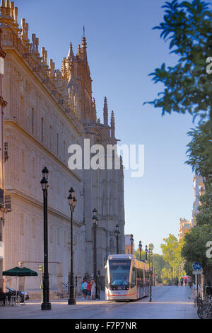 Avenida de la Constitucion,sullo sfondo la cattedrale,Sevilla,Andalucia,Spagna Foto Stock