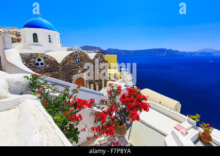 Paesaggio greco con la torre campanaria e fiori - Santorini Island, Grecia Foto Stock