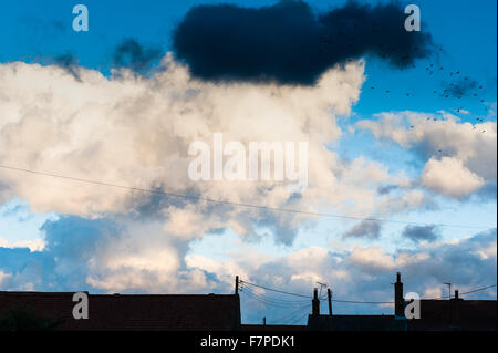 Una burrasca, cielo nuvoloso al tramonto in Norfolk con i tetti di casa come silhouette. Foto Stock