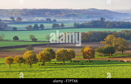 Vista attraverso i campi dal parco a Killerton, Devon, con Dartmoor visto di là. Foto Stock