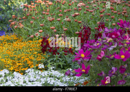 Colorate confini estate nei giardini a Nymans, West Sussex. Foto Stock