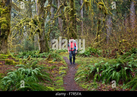 WASHINGTON - escursionista voce attraverso la foresta pluviale temperata lungo un umido molto Hoh River Trail nel Parco Nazionale di Olympic. Foto Stock