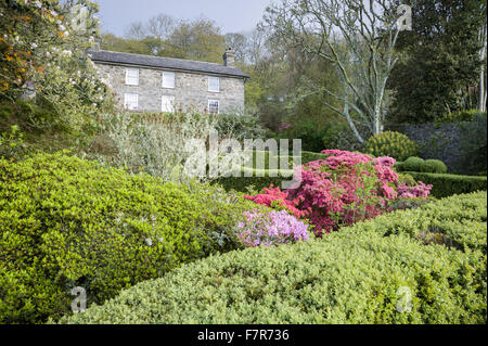 Giardino davanti alla casa di Plas yn Rhiw, Gwynedd. Il giardino dispone di box-refilato vani, e arbusti compresa bright azalee. I giardini di Plas yn Rhiw hanno viste spettacolari su Cardigan Bay. Foto Stock