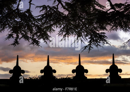 Albero di cedro in Occidente corte presso Hardwick Hall, Derbyshire. La Hardwick Station Wagon è composta da splendide case e splendidi paesaggi. Foto Stock