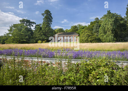 L'Orangery a Felbrigg Hall, i giardini e la station wagon, Norfolk. Foto Stock