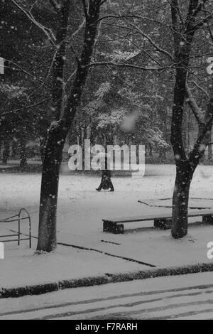 Tempesta di neve nella città di alberi di copertura, strade, persone Foto Stock