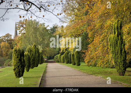 Il piacere terreno a Clumber Park, Nottinghamshire. Foto Stock