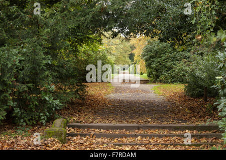 Il piacere terreno a Clumber Park, Nottinghamshire. Foto Stock