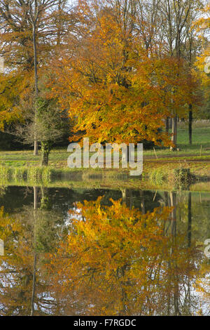 Le undici acri di lago in autunno a Stowe, Buckinghamshire. Stowe è un giardino paesaggistico con picture-in perfetta opinioni, sentieri tortuosi, passeggiate in riva al lago e templi classici. Foto Stock