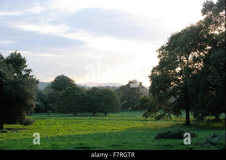 L'estate a Hidcote, nel Gloucestershire. Hidcote è una famosa in tutto il mondo delle arti e dei mestieri, giardino creato dalla American giardiniere grandi Lawrence Johnston. Foto Stock