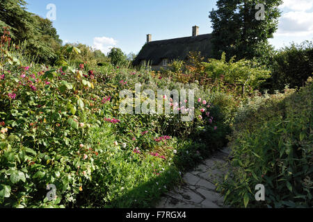 L'estate a Hidcote, nel Gloucestershire. Hidcote è una famosa in tutto il mondo delle arti e dei mestieri, giardino creato dalla American giardiniere grandi Lawrence Johnston. Foto Stock
