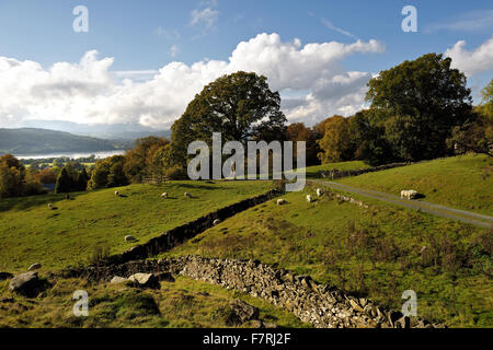 Footprint, Windermere, Cumbria. Le balle di paglia edificio a Footprint è stato costruito nel 2006 e ora fornisce una base per le persone di riconnettersi con la natura e di esplorare i grandi spazi aperti nella zona tranquilla di Santa Caterina di legno. Foto Stock