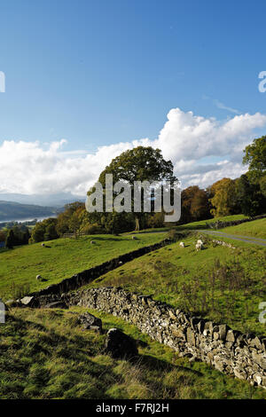 Footprint, Windermere, Cumbria. Le balle di paglia edificio a Footprint è stato costruito nel 2006 e ora fornisce una base per le persone di riconnettersi con la natura e di esplorare i grandi spazi aperti nella zona tranquilla di Santa Caterina di legno. Foto Stock