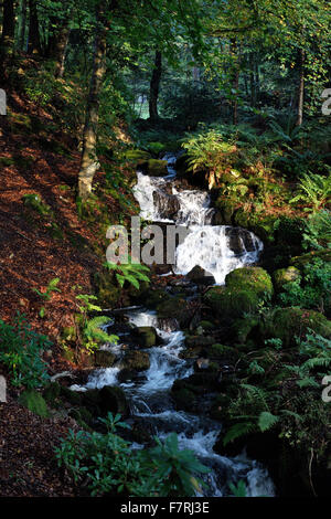 Una cascata a footprint, Windermere, Cumbria. Le balle di paglia edificio a Footprint è stato costruito nel 2006 e ora fornisce una base per le persone di riconnettersi con la natura e di esplorare i grandi spazi aperti nella zona tranquilla di Santa Caterina di legno. Foto Stock