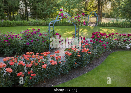 Il Giardino delle Rose in estate a Cliveden, Buckinghamshire. Annidato in alto sopra il fiume Tamigi con viste panoramiche sulla campagna del Berkshire, questi giardini cattura la grandezza di un'era andata. Foto Stock