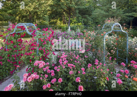 Il Giardino delle Rose in estate a Cliveden, Buckinghamshire. Annidato in alto sopra il fiume Tamigi con viste panoramiche sulla campagna del Berkshire, questi giardini cattura la grandezza di un'era andata. Foto Stock