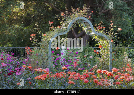 Il Giardino delle Rose in estate a Cliveden, Buckinghamshire. Annidato in alto sopra il fiume Tamigi con viste panoramiche sulla campagna del Berkshire, questi giardini cattura la grandezza di un'era andata. Foto Stock