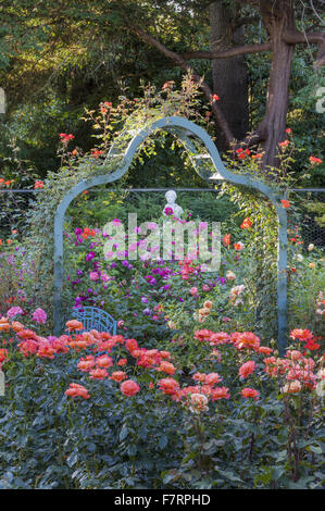 Il Giardino delle Rose in estate a Cliveden, Buckinghamshire. Annidato in alto sopra il fiume Tamigi con viste panoramiche sulla campagna del Berkshire, questi giardini cattura la grandezza di un'era andata. Foto Stock