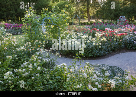 Il Giardino delle Rose in estate a Cliveden, Buckinghamshire. Annidato in alto sopra il fiume Tamigi con viste panoramiche sulla campagna del Berkshire, questi giardini cattura la grandezza di un'era andata. Foto Stock