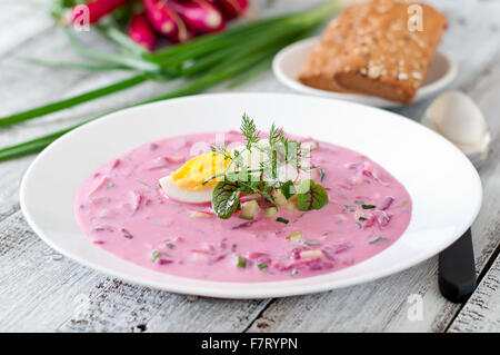 Fredda zuppa di barbabietole su yogurt con uovo, ravanelli e cetrioli Foto Stock