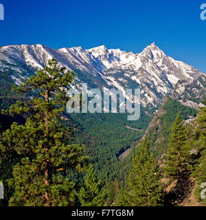 Trapper picco nella Bitterroot Mountains vicino conner, montana Foto Stock