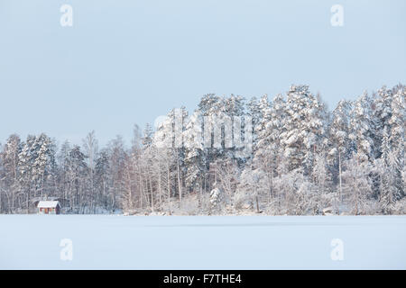 Inverno paesaggio lacustre in Finlandia Foto Stock