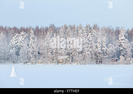 Inverno paesaggio lacustre in Finlandia Foto Stock