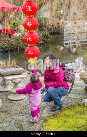 Bambino raggiunge per carta lanterna, Dr Sun Yat Sen giardino, la celebrazione del Capodanno Cinese, Vancouver, British Columbia, Canada Foto Stock