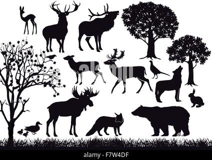 La foresta e la fauna selvatica Illustrazione Vettoriale