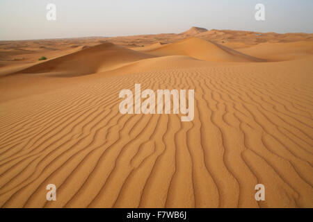 Safari nel deserto, Dubai, Emirati Arabi Uniti Foto Stock